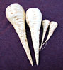 parsnips