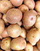 young potatoes