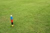 Croquet