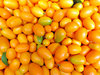 kumqat colour