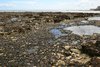 Rockpools and shellfish