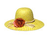straw hat