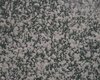 Plaster