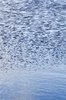 Rippled water