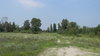 Ukrainian Landscape