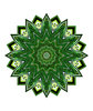 green pointed petals