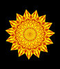 golden star flower