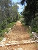 Well travelled path, Majorca
