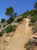 Nearly at the top and pathway 