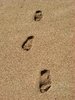 Carbon footprint
