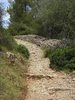 Pathway down hill