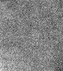 Leather Texture 5