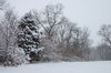 Country winter