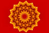 apricot star dish