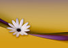 Flower and Ribbon abstract