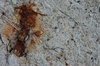 rock textures