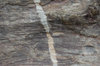 rock textures