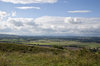 Summer landscape