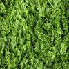 Green 2