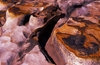 Rock abstraction