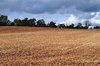 Farm land