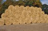 Hay bales