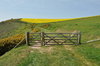 Gate blocking pathway