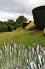 Topiary