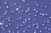 Circles and Bubbles