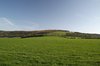 Green spring