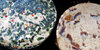 savoury cheeses