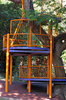 tree climbing - easy way