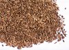 organic caraway