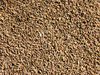 organic aniseed texture