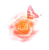 rose and butterfly