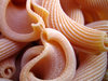 Pasta closeup 1