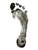 My Foot