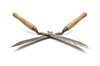 Old Scissors