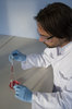 Lab Work
