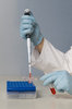 Lab Work