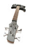 Bass