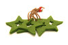 Christmas star