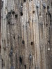 telephone pole
