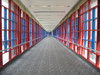 skyway