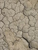 cracked earth