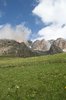 Mountain meadow