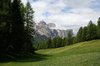 Mountain meadow