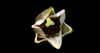 Lily Bud