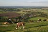 Cows wandering home