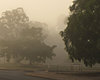 early morning mist
